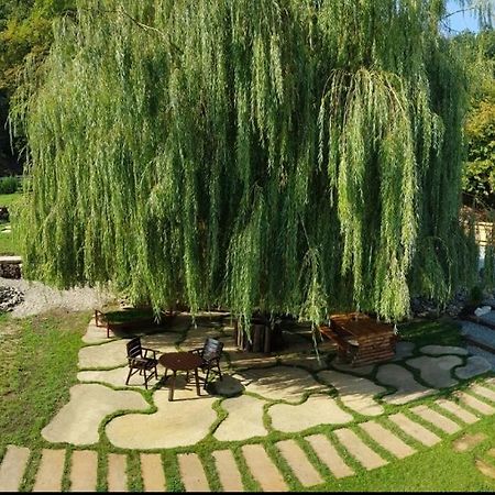 La Salcia Din Padure Apartment Alba Iulia Bagian luar foto