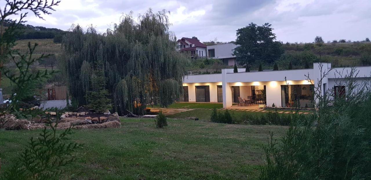 La Salcia Din Padure Apartment Alba Iulia Bagian luar foto