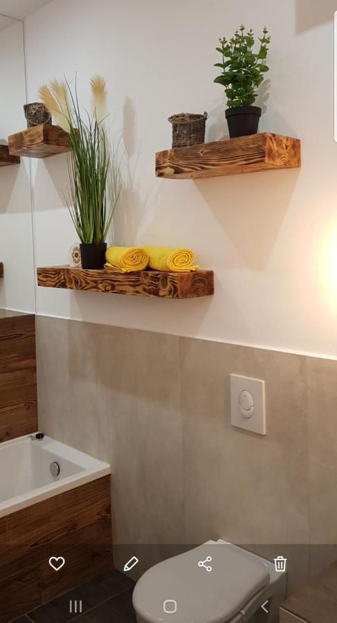 La Salcia Din Padure Apartment Alba Iulia Bagian luar foto